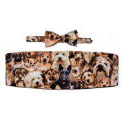 Puppy Dogs Cummerbund and Tie Set